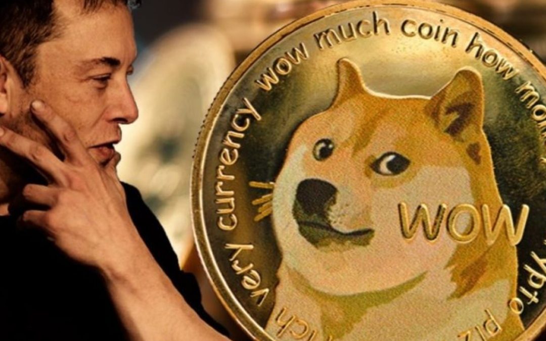 Dopo l’annuncio di Elon Musk di acquisire Twitter, Dogecoin potrebbe diventare la moneta ufficiale della piattaforma